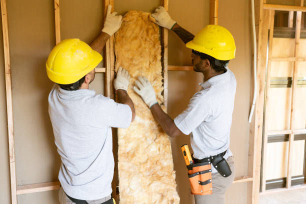 Best Basement Insulation  in Westmorland, CA